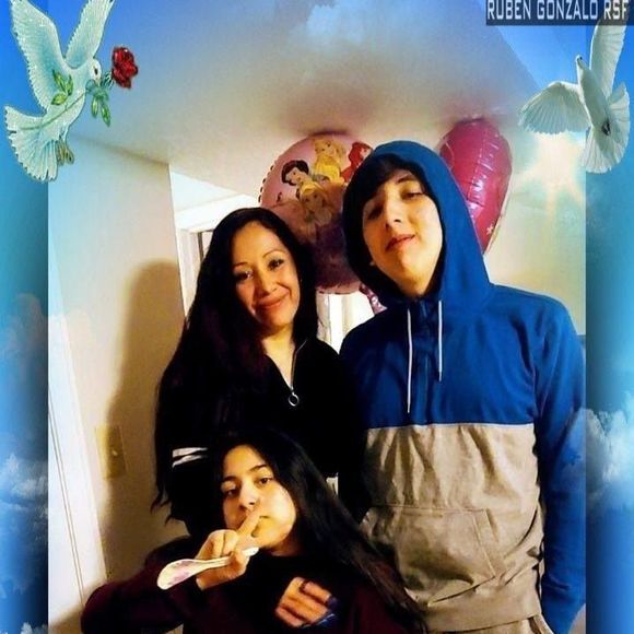 Meet your Posher, Bella - Picture 1 of 1